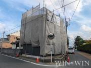 Paw House 柱