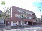 グリーンコーポ原