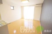 ＪＲ高徳線徳島駅まで徒歩42分