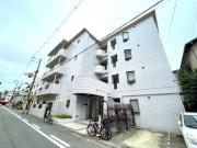 エバーグリーン
