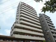 J city綾瀬