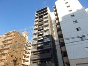 ディアレイシャス金山