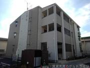 ボナールさざんか