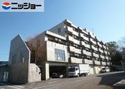 LYON HEART