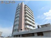 BORAX TOWER