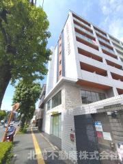 No.81 ORIENTBLD