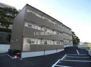 modern palazzoレイール