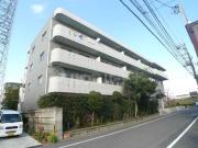 高砂桜キ