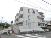 トップ大和