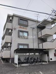 パルテール