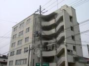曽根ファイブ