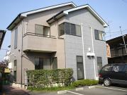 シャトーブラウン