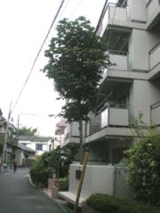 コーポ小山