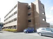 AS守山I