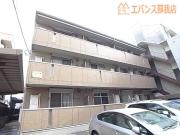 プランドール樹