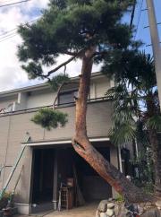 永福3丁目テラス