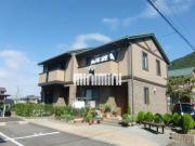 Belle ville 長良 E