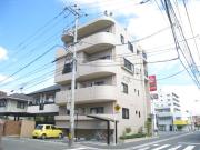 さくらBLD