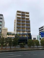 SPATIE BELTA YOKOHAMA