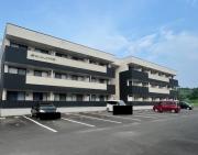 ISLAND中平野