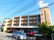 西鉄天神大牟田線白木原駅まで徒歩17分