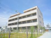 IBIS COURT