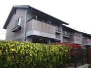 ラヴィル・ヒロ