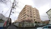 フローライト市川