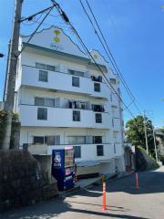 志幸31 アンノン