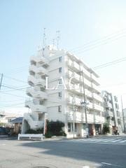 イワタハイツ