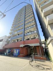 Do九条1