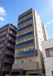 ディアレイシャス菊川