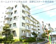 泉北城山台二丁3-14号棟