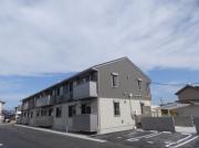 D-room椿