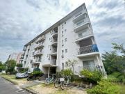 大久保東第4団地81号棟