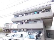 ブライトンハウス