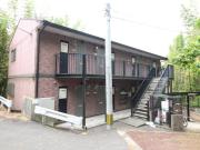 アムール唐の原