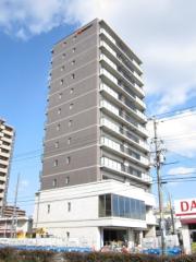 Sereno光南