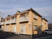 グリーンハイツ
