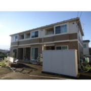 フラットコスモス