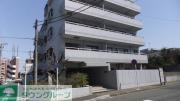ウイライヴ十日市場