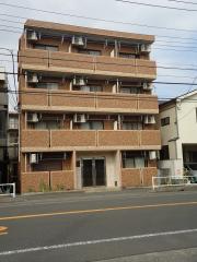 Falcone