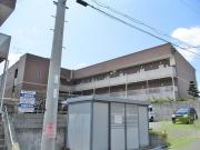 アンプルールクラージュコリーヌシャンII