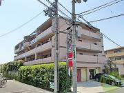 カーサローザ