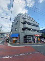 サンフラワー長居