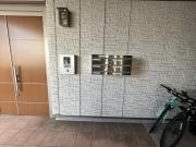 ステラYJS