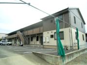 アンジェリーナ A