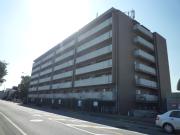 グランドヒルズ横浜