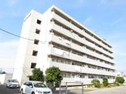 徳島県鳴門市撫養町大桑島字北ノ浜