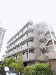 Collection鳳東町